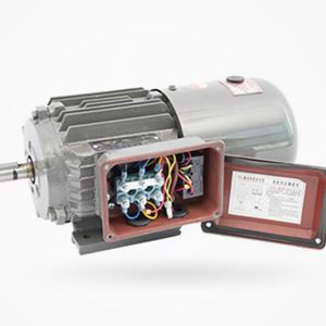 YEJ2制動(dòng)電機
