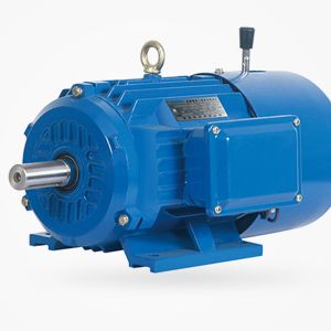 YEJ2-系列電磁制動(dòng)三相異步電動(dòng)機(手抦)